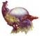 Cornucopia