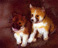 Noah's Ark: Dingos