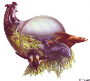 Cornucopia �William Natal